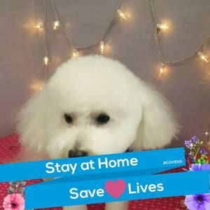 Meet your Posher, Theresa